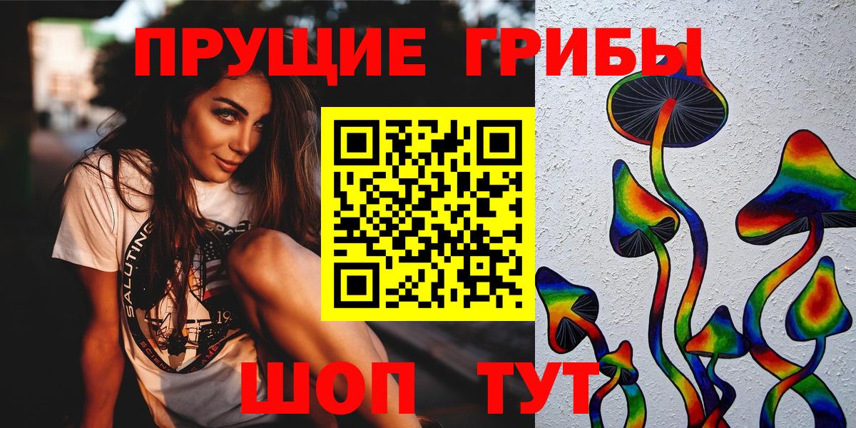 Псилоцибиновые грибы мицелий Александров