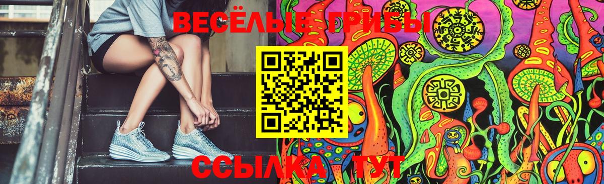 Галлюциногенные грибы Magic Shrooms  цены   Александров  Псилоцибиновые грибы GOLDEN TEACHER  Вход с VPN 